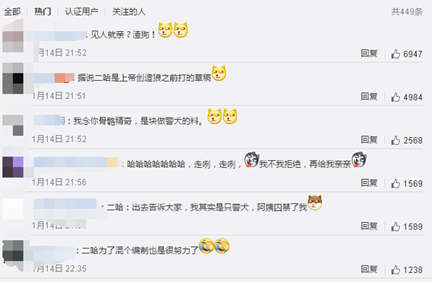 二哈溜进图书馆见人就亲&nbsp;没心没肺调动气氛