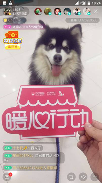 爱心暖流加速蔓延，杨洋和袁和平加入暖心行动