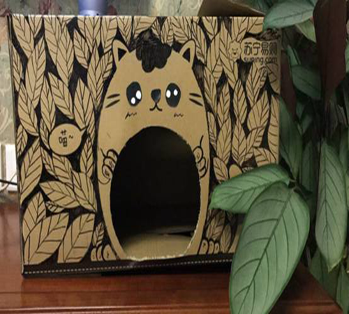 爱心暖流加速蔓延，杨洋和袁和平加入暖心行动