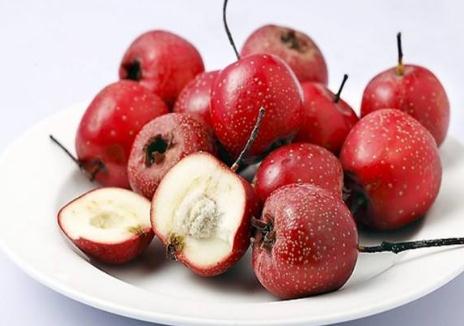 卵巢囊肿影响生育吗&nbsp;六大危害要清楚