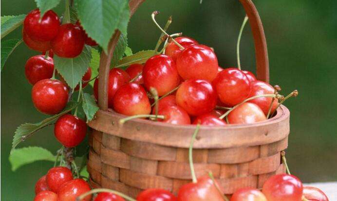 饱腹感食物吃不对照样胖 这些果蔬更利于减肥