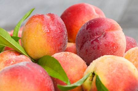 糖尿病患者养生经主要有四点