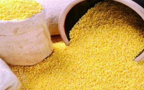 冬季吃小米好处多 健脾胃助睡眠