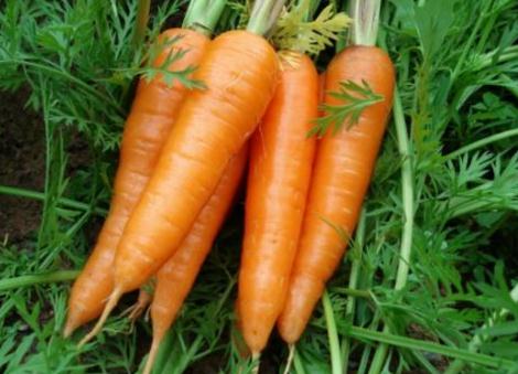 6种毒素会加速女性衰老