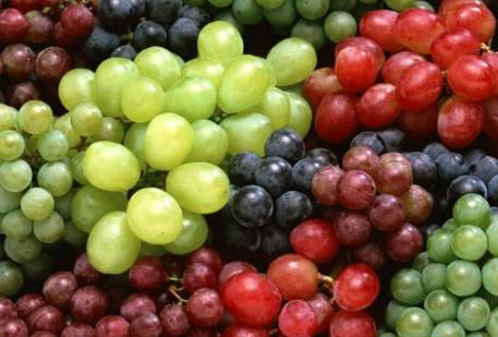 男人的精子最怕这6样！吃什么东西可以增加男性的精子？