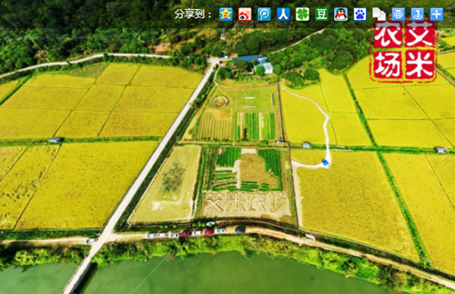 双12福袋来了！艾米会打响双12豪礼第一炮！