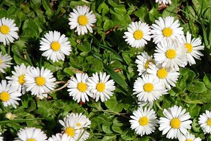 压力大试试这5种食物&nbsp;推荐6个缓解压力妙招