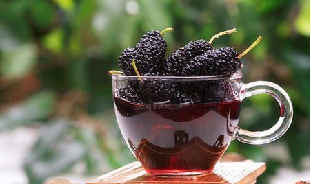 桑椹泡酒能健脾补肾，需注意这些事项
