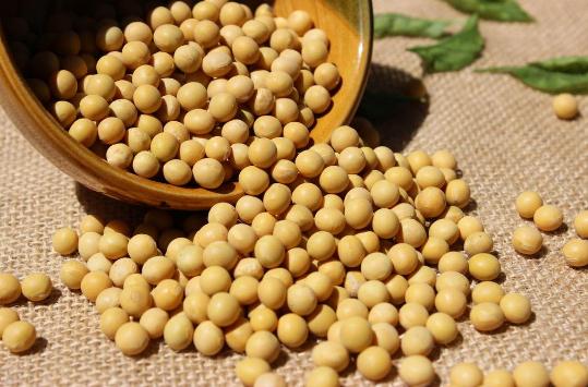 内分泌失调的原因 治疗调理内分泌失调的方法