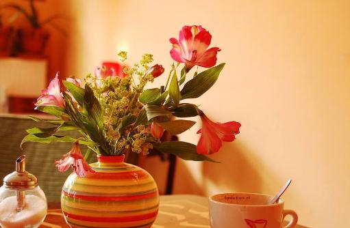 学习小原流花道插花 芳香满溢迎新春