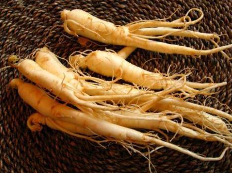 #抗疲劳#抗疲劳中草药有哪些？不妨试试这五种中药