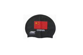 观众席被挂“藏独”旗挑衅 中国球员在德退场抗议