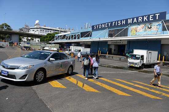 探访海鲜天堂悉尼鱼市&nbsp;现杀现吃&nbsp;太馋人了(组图)