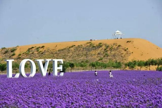 看最美宁夏十一假期自驾游攻略