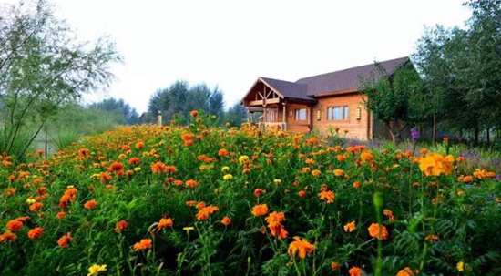 看最美宁夏十一假期自驾游攻略