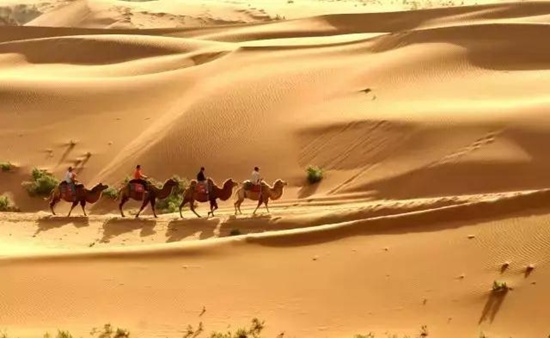 看最美宁夏十一假期自驾游攻略