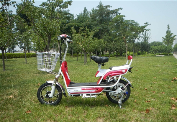 中国电动自行车海外市场份额飙升：老外害怕了