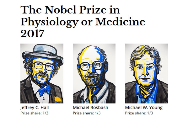 2017年度诺贝尔生理学或医学奖揭晓！三位美国科学家获奖