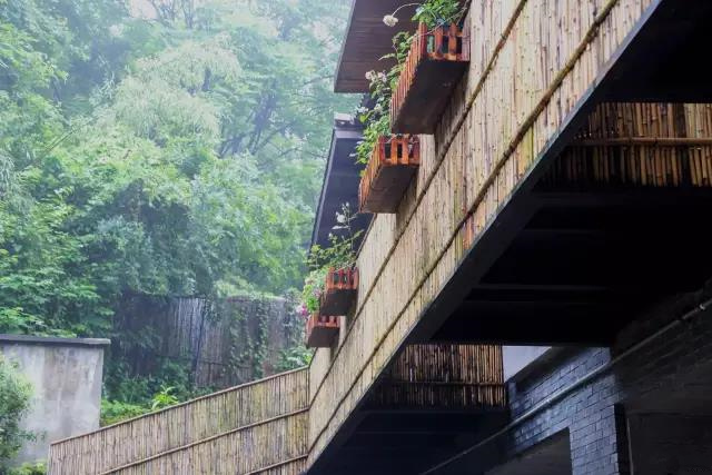 十一黄金周赏秋行 山间民宿意正浓