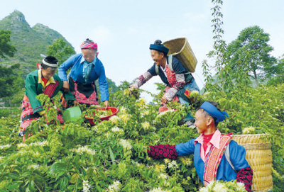 “砥砺奋进的五年”大型成就展展板图片选登