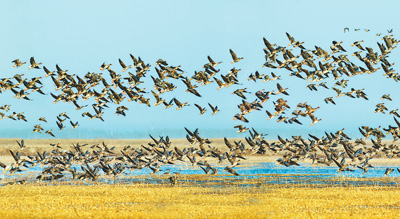 “砥砺奋进的五年”大型成就展展板图片选登