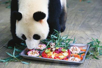 动物园特制月饼“出炉”