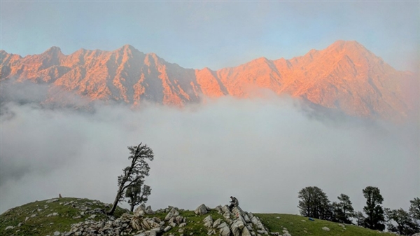 超越三星Note8/iPhone 8!谷歌Pixel 2样张出炉