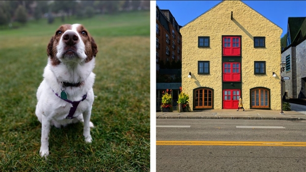 超越三星Note8/iPhone 8!谷歌Pixel 2样张出炉