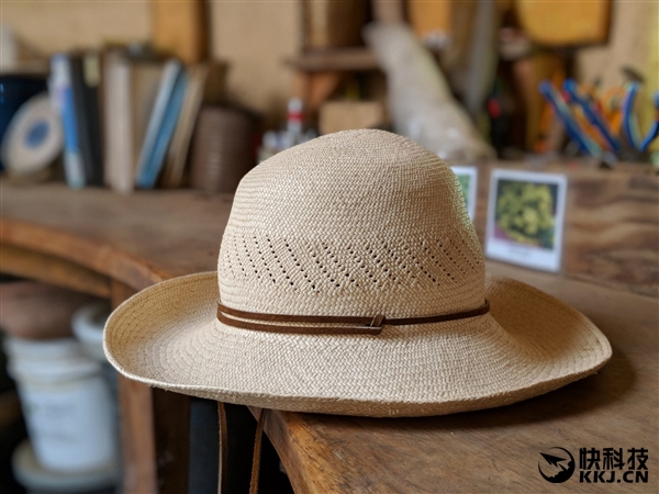 碾压iPhone 8P！拍照最强机Pixel 2官方样张释出