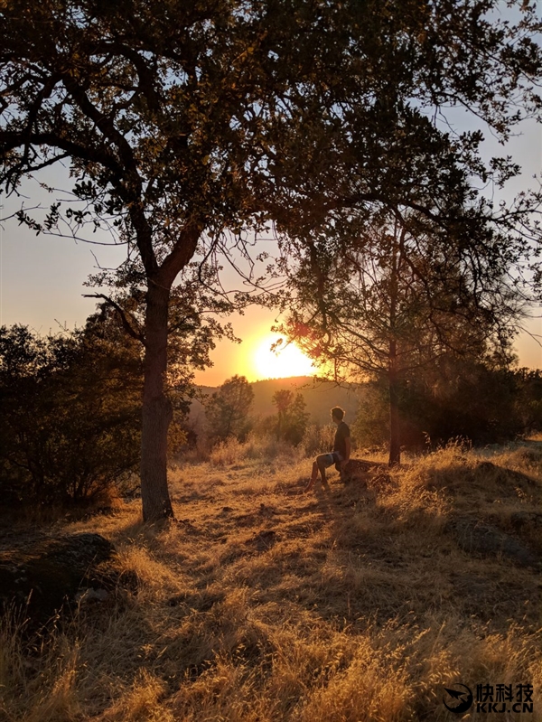 碾压iPhone 8P！拍照最强机Pixel 2官方样张释出