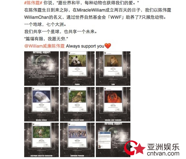 陈伟霆生日将至 粉丝公益应援救助濒危动物