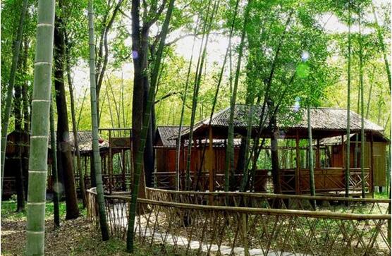 发现吴江荣誉景区的非凡魅力