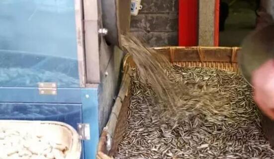 宁夏银川排长队才能吃到的美食