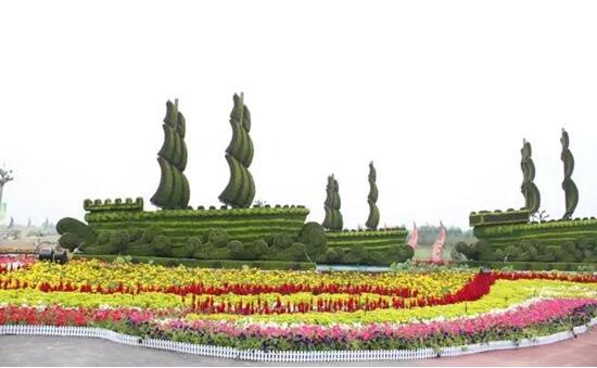 宁夏银川周边绝美花海与你相约在深秋