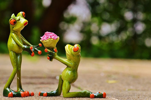 这些星座不对你表白，未必是因为不爱！