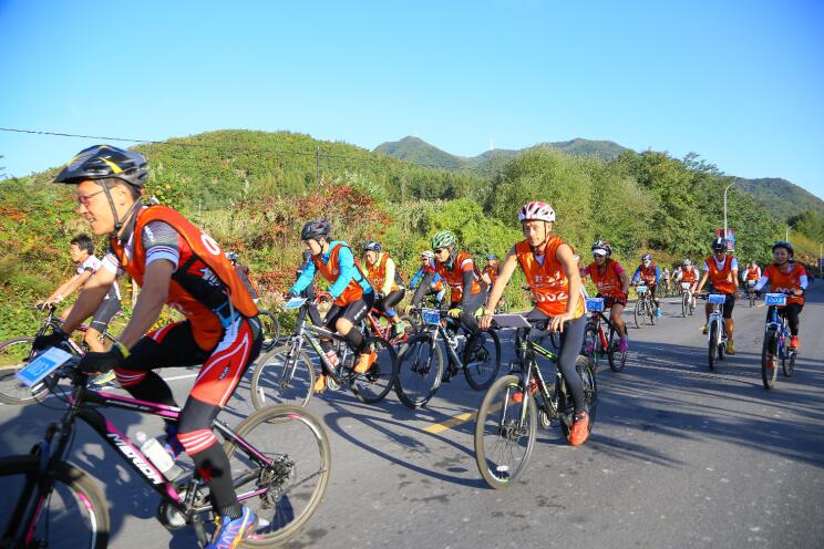 广东深圳市龙华区文化广电旅游体育九游体育局柔性人才引进公告