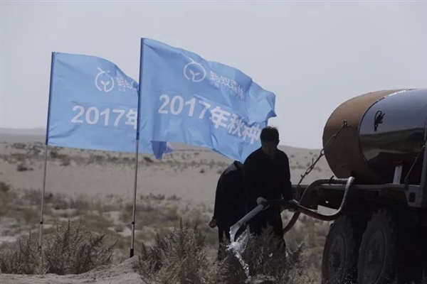 蚂蚁森林长势喜人！起早贪黑偷能量值了