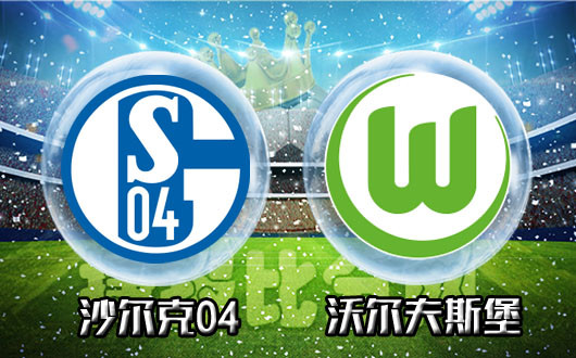 沙尔克04vs沃尔夫斯堡 沙尔克04未必趁心如意