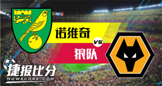 诺维奇vs狼队 诺维奇主让平手毫无倾斜