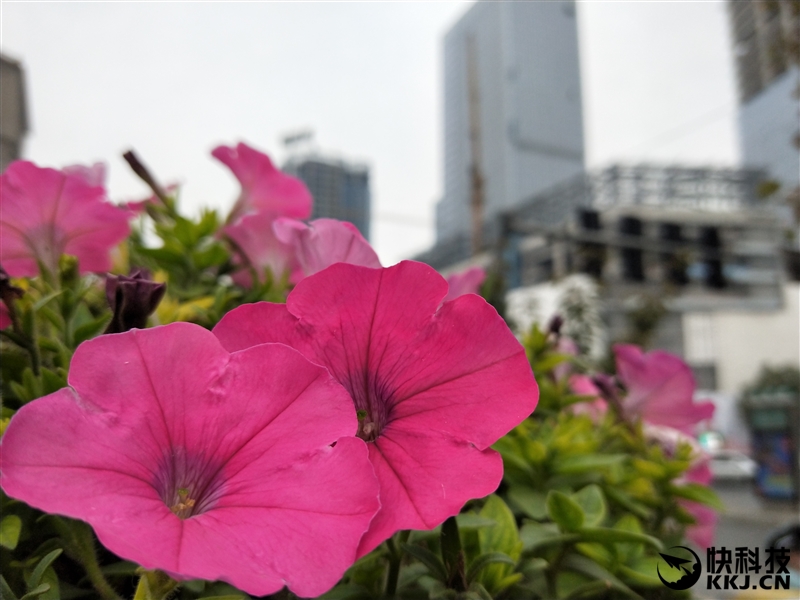 全面屏！OPPO R11s首发评测：史上最好的OPPO手机