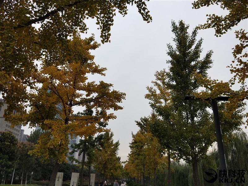 全面屏！OPPO R11s首发评测：史上最好的OPPO手机