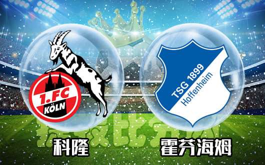 科隆vs霍芬海姆 科隆一旦醒来就不好对付