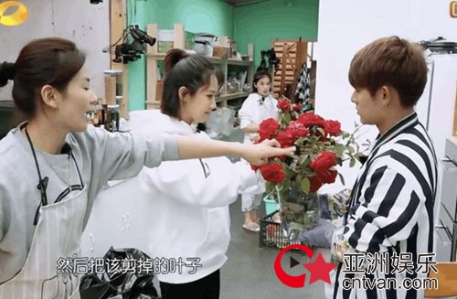 杨紫干活被吐槽 对比易烊千玺差距大！