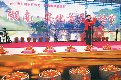 湖南安化南金乡:&nbsp;青山绿水&nbsp;茶果飘香