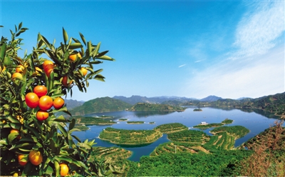 湖南安化南金乡:&nbsp;青山绿水&nbsp;茶果飘香
