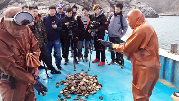 苏先生寻鲜记探访乌兰布和，网红小姐姐与奶牛亲密互动