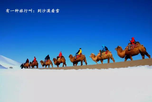 11月宁夏沙坡头开启冬游模式