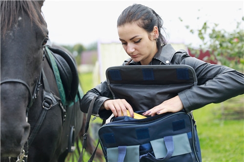 俄罗斯美女快递员骑马送快递 这下火了