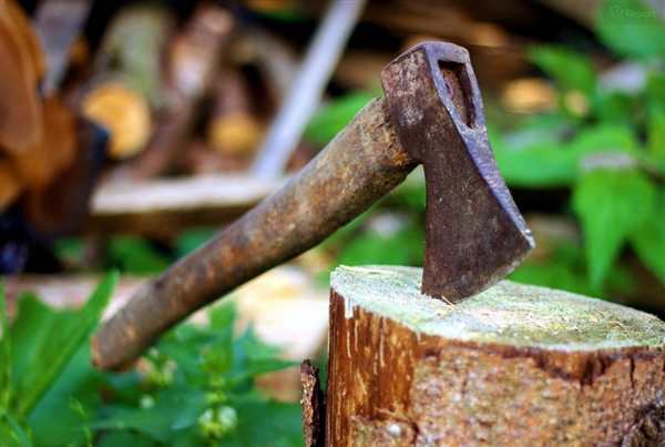 天猫双11成交额排行榜：广东第一 江浙紧随其后