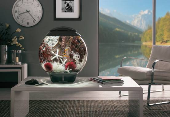 桌面水景新风尚•与biOrb第一次亲密接触